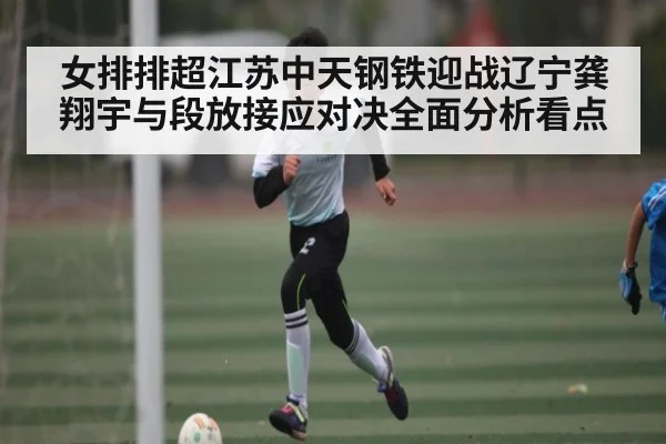 女排排超江苏中天钢铁迎战辽宁龚翔宇与段放接应对决全面分析看点